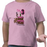 Monkey with Cake 3rd Birthday Tshirts and Gifts