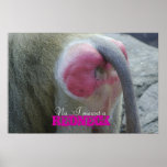 monkeybutt, No...I meant a , REDNECK posters