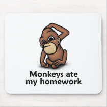 Monkeys ate my Homework