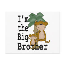 Monkeys Big Brother Postcard