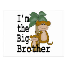 Monkeys Big Brother Postcard