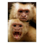 Monkeys! Greeting Cards