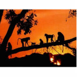 Monkeys In The Sun photo sculptures