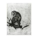 Monkeys postcards
