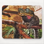 Monkeytoad mousepad