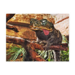 Monkeytoad postcard