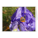Monkshood  cards
