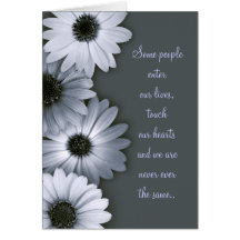 Monochrome Daisies sympathy card