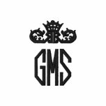 Monogram Three Letter Embroidered Polo Shirt embroidered shirts