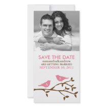 Monogrammed Love Birds Save the Date Photocards Customized Photo Card