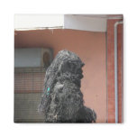 Monster Man magnets