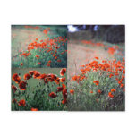 Montage Poppies | Postcard