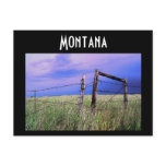 Montana Postcard