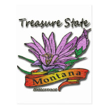 Montana Treasure State Bitterroot Post Card