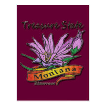 Montana Treasure State Bitterroot Postcard