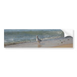 Montauk beach seagull love bumper sticker