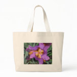 Montclair Iris bags