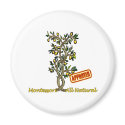 Montessori Lemon Tree magnets