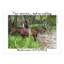 Montezuma, Costa Rica Postcard