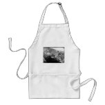 Montgomery Street San Francisco California 1850 aprons