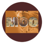 Moo Cow Round Stickers
