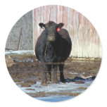 Moo stickers