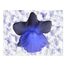 Moody Blue Dripping Daffodil Postcard