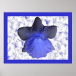 Moody Blue Dripping Daffodil Print