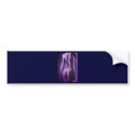 Moody Nude bumper stickers