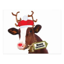 Mooey Merry Christmas Reindeer Cow Post Card