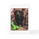 Mookie cards
