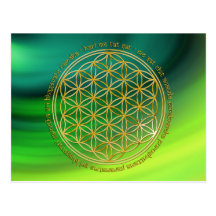 Moola Mantra / Blume Des Lebens | green waves Postkarte