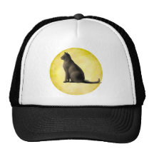 Moon Cat Hats