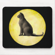 Moon Cat