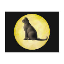 Moon Cat