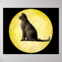 Moon Cat