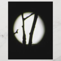 Moon. Flyer Design