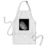Moon from Galileo Planetary Space Mission Aprons