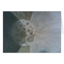 moon, i lassoed this for you greeting card