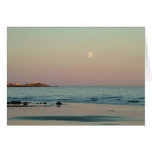 Moon Ocean Nubble Light 2007 197 Cards