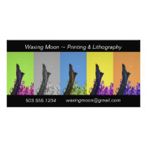 Moon Over Burnt Tree Rising_multi-hue sequence
