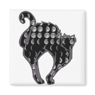 Moon Phase Kitty Fridge Magnets by Jaenne