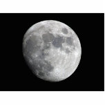 Moon photo sculptures