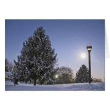 Moon Rise Greeting Card
