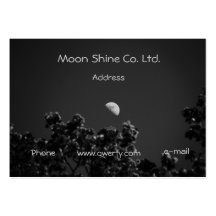 Moon Shine Business Card