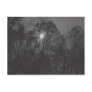 Moon & Trees Postcard