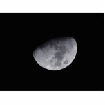 Moon Yellow Night Cut Out