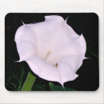 Moonflower and Friend Mousepad
