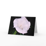 Moonflower and Friend Note Card