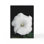 MoonFlower cards